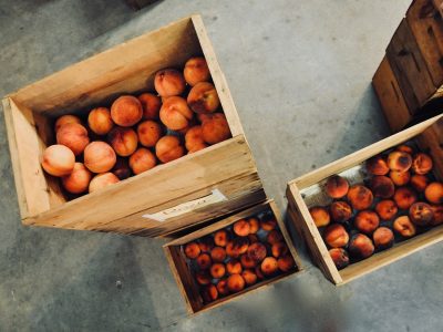 Negativa a la elección del empleador: un juez impone la readmisión inmediata tras un despido improcedente