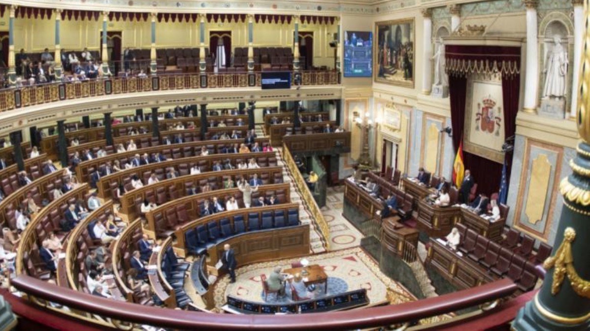 El Congreso da luz verde al Proyecto de Ley Orgánica de Derecho a la ...