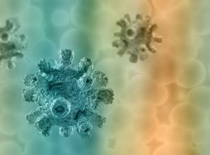 Estructura de un virus