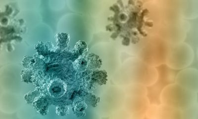 Estructura de un virus