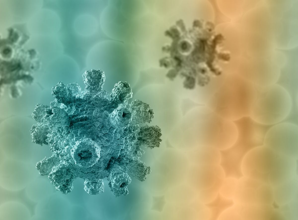 Estructura de un virus