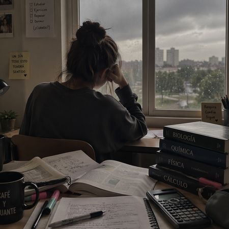 Estudiante PAU
