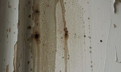 Filtraciones