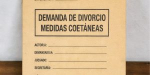 Expediente de divorcio y medidas coetáneas