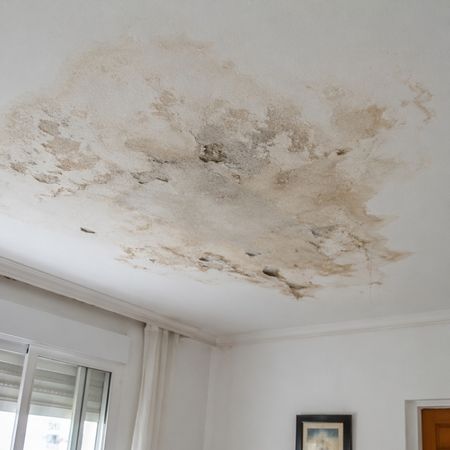 Manchas de humedad en el techo de un piso