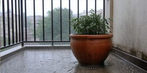Maceta encima de un sumidero en una terraza