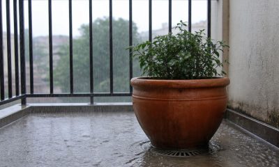 Maceta encima de un sumidero en una terraza