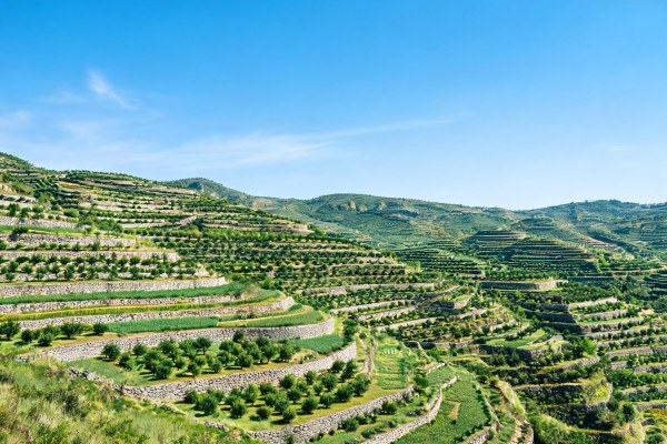 Paisaje de bancales agrícolas y cultivos tradicionales gestionados con riego histórico