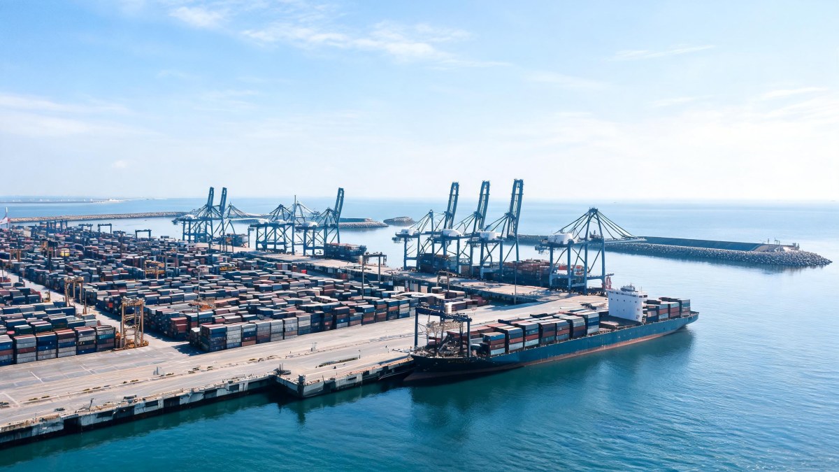 Vista general de terminal de contenedores y dársena portuaria con grúas y muelles.