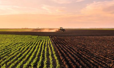 Campo agrícola cultivado con tractor en el horizonte