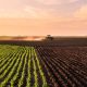 Campo agrícola cultivado con tractor en el horizonte