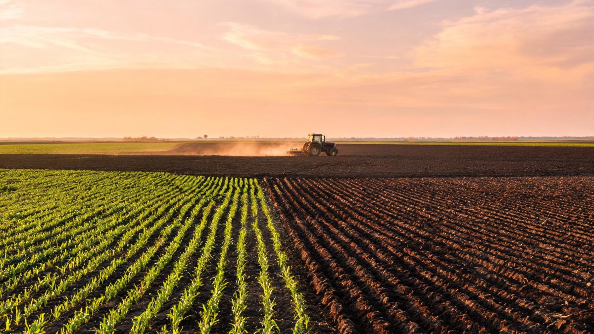 Campo agrícola cultivado con tractor en el horizonte